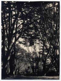 Zona Fuerte Bulnes [en el] Estrecho de Magallanes