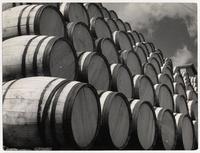 Ritmo circular [en una composición de barriles apilados]