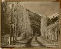 Alameda [en] Maitenes