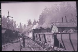 [Transporte del carbón por arrastre en vagones de acarreo por medio de locomotora]