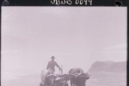 [Campesino en su carreta con yunta de bueyes por la orilla del mar]