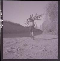 [Niño llevando leña en sus hombros por un camino rural]