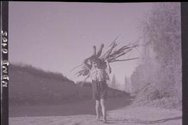 [Niño llevando leña en sus hombros por un camino rural]