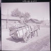 [Hombre transportando madera en una carreta tirada por un caballo