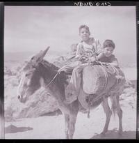 [Dos niños sobre un burro que lleva carga]