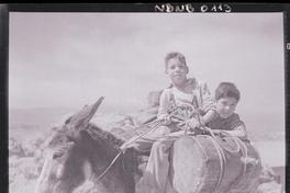 [Dos niños sobre un burro que lleva carga]