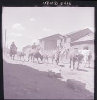 [Campesinos arreando una yunta de bueyes por un sector rural]