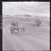 [Dos campesinos en una carreta con bueyes]