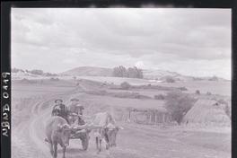 [Dos campesinos en una carreta con bueyes]