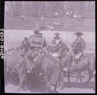 [Rodeo campesino chileno]