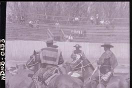 [Rodeo campesino chileno]
