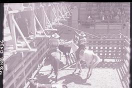 [Rodeo campesino chileno]