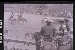 [Rodeo campesino chileno]