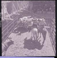 [Rodeo campesino chileno]