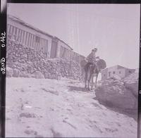 [Dos niños montados sobre un burro transportando barriles]