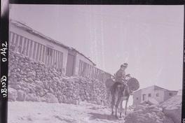 [Dos niños montados sobre un burro transportando barriles]