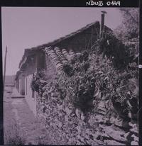 [Viviendas en una calle rural]