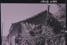 [Viviendas en una calle rural]