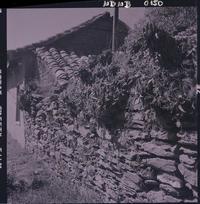 [Viviendas en una calle rural]