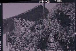 [Viviendas en una calle rural]