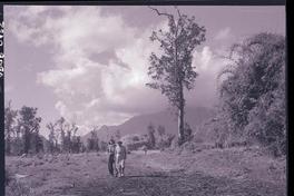 [Dos señoras de paseo por el campo]