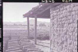 [Adobes de barro mezlado con paja, secándose al sol en el campo]
