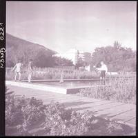 [Niños jugando con un barquito que flota en una pileta]