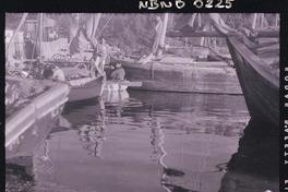 [Lanchas en la bahía]