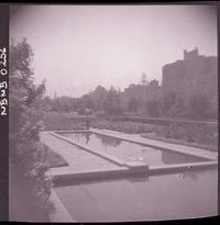 [Espejo de agua en el Parque Forestal]