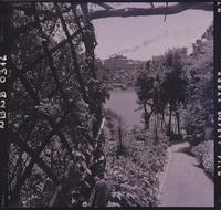 [Vegetación de distintas especies que rodea la laguna, al fondo se observa edificio de la Compañía Carbonífera y de Fundición Schwager]