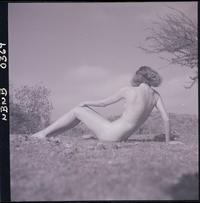 [Desnudo femenino al aire libre]