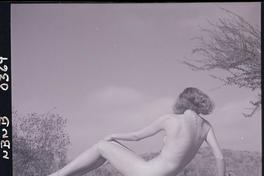 [Desnudo femenino al aire libre]