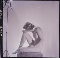 [Desnudo femenino en estudio]