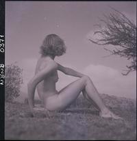 [Desnudo femenino al aire libre]