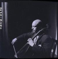 [Intérprete de violoncello]