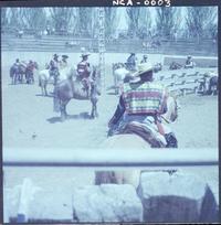 [Rodeo a la chilena]