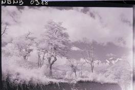 [Dos niñitas con abrigo, caminan por un camino rural con canasto, maleta y balde]