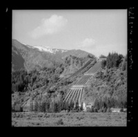 [Vista general de la Central Hidroeléctrica Abanico]