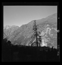 [Desarrollo de las tuberías desde la chimenea de equilibrio hasta la central y el entorno con gran vegetación en que predominan los cipreses]