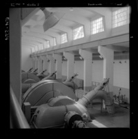 [Vista de las tres unidades generadoras en el interior de la casa de máquinas]