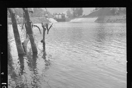 [Bocatoma ubicada en el desagüe de la laguna Pullinque]