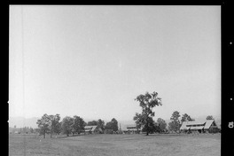 [Aspecto del lugar en que se encuentra la población Endesa]