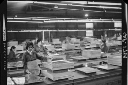 [Operarias del área de producción de laminación]