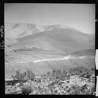 Camino a la mina El Algarrobo