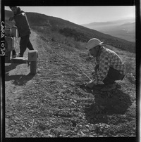 [Mineral de Hierro "El Algarrobo"]