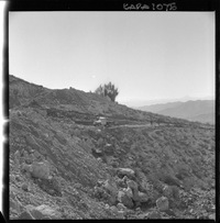 [Camino hacia el mineral de hierro "El Algarrobo"]