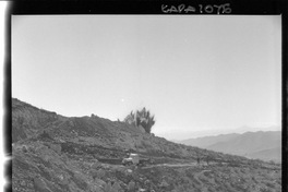 [Camino hacia el mineral de hierro "El Algarrobo"]