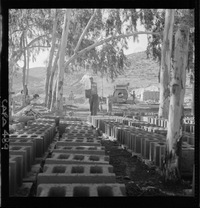 [Instalaciones interiores del mineral de hierro "El Algarrobo"]