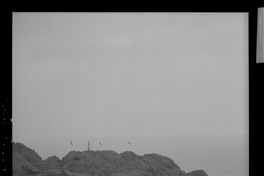 [Faja transportadora de minerales en el puerto de embarque]