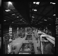 Iansa (Chile) : Planta Rapaco